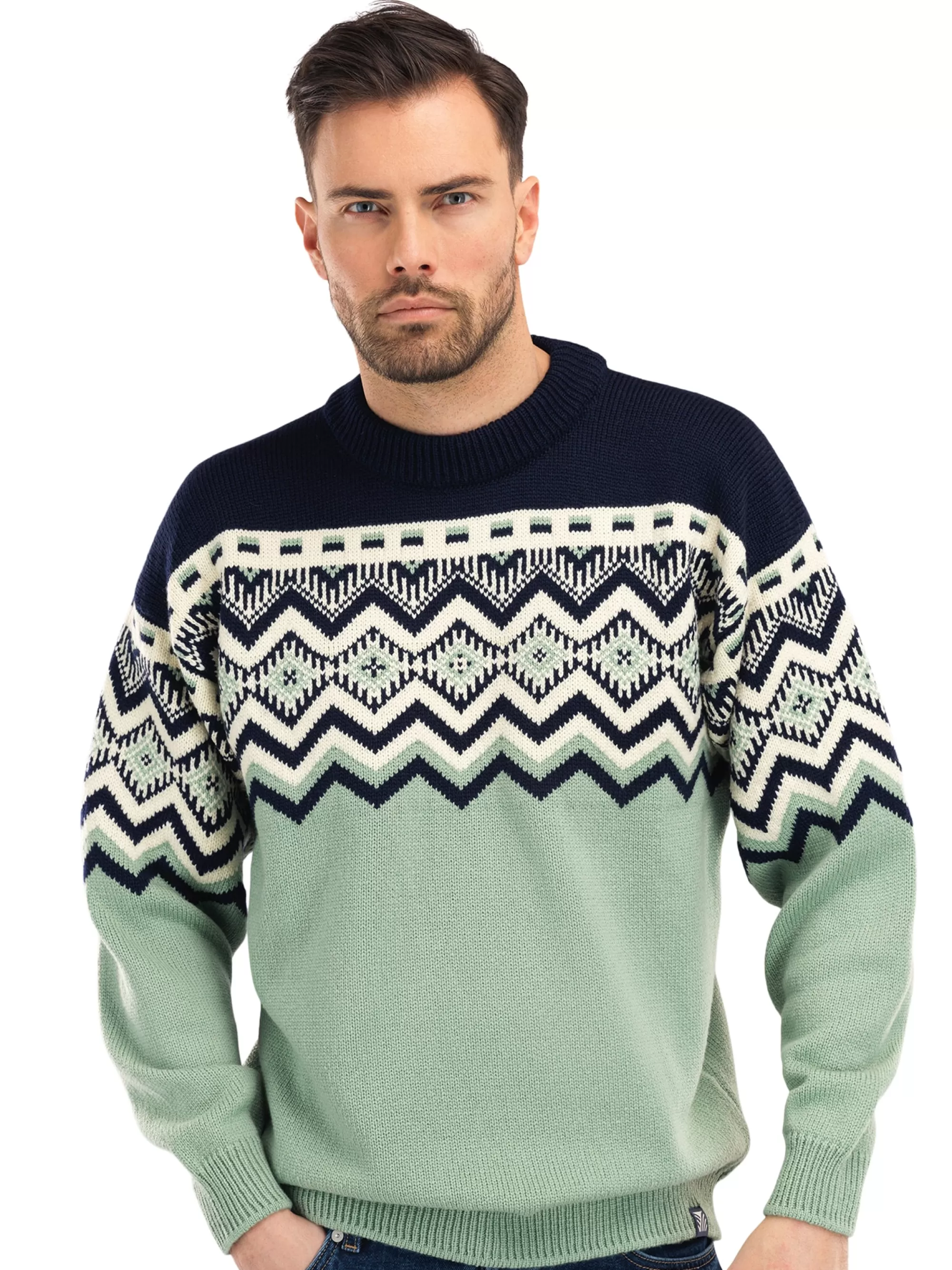 Men Dale of Norway Randaberg Men's Sweater