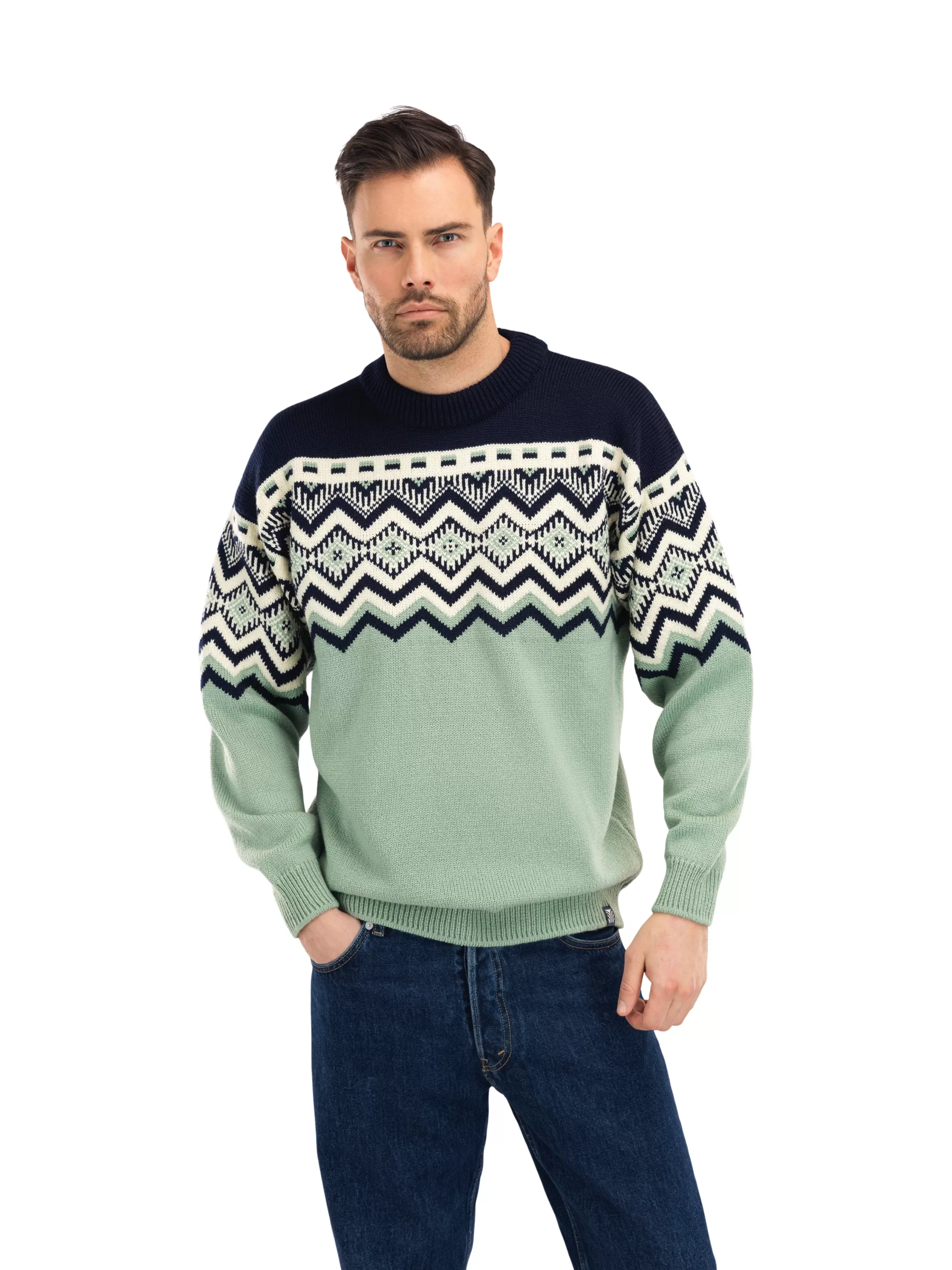 Men Dale of Norway Randaberg Men's Sweater