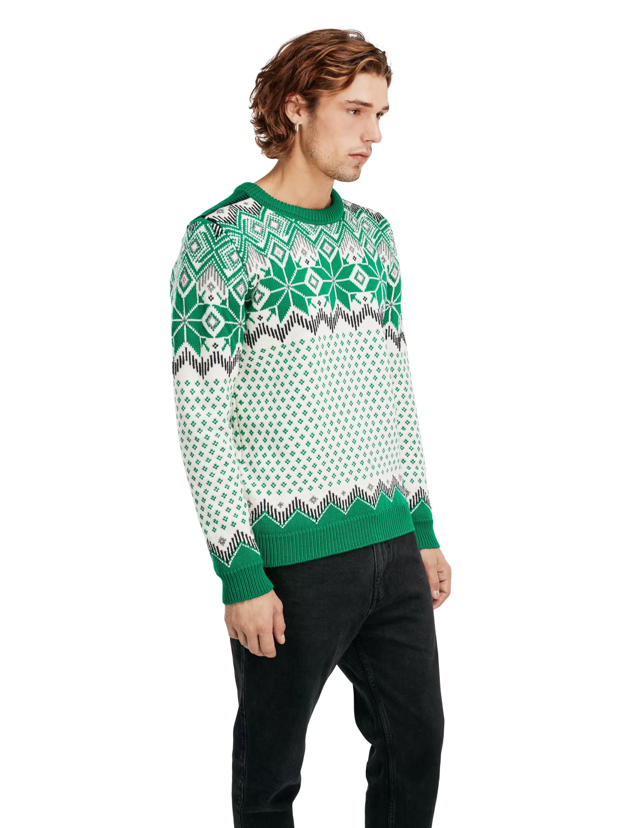 Men Dale of Norway Vegard Men's Knit Sweater